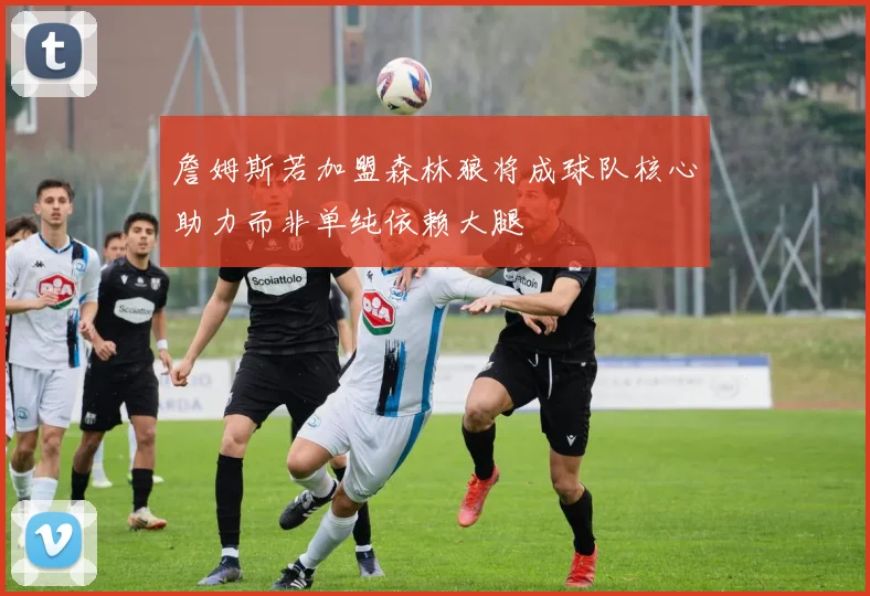 詹姆斯若加盟森林狼将成球队核心助力而非单纯依赖大腿