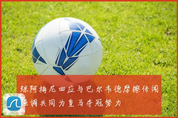 琼阿梅尼回应与巴尔韦德摩擦传闻强调共同为皇马夺冠努力