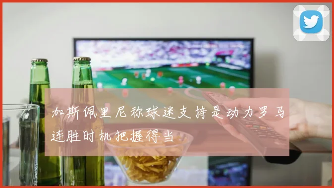 加斯佩里尼称球迷支持是动力罗马连胜时机把握得当