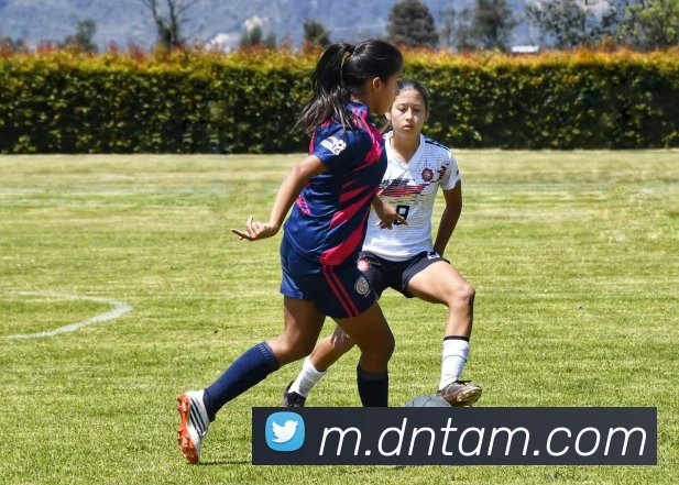 对战数据统计